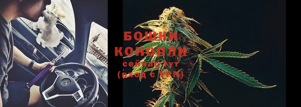 амф Бородино