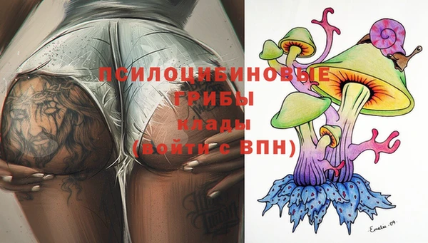 твердый Бронницы