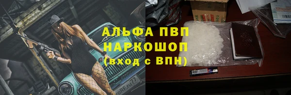амф Бородино