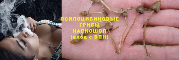 амф Бородино