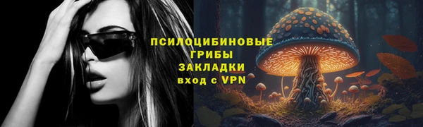 твердый Бронницы