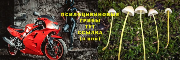 твердый Бронницы