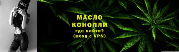 амф Бородино
