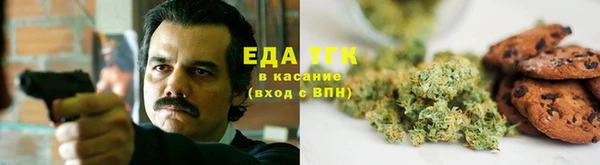 амф Бородино