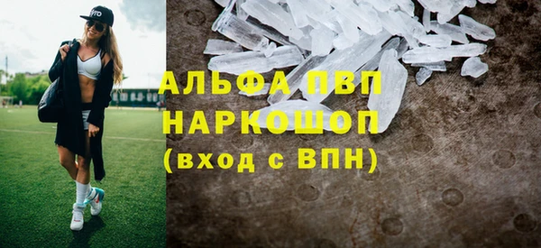 амф Бородино