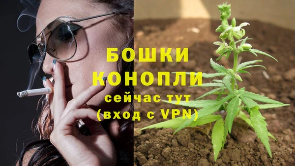 амф Бородино