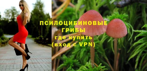 твердый Бронницы
