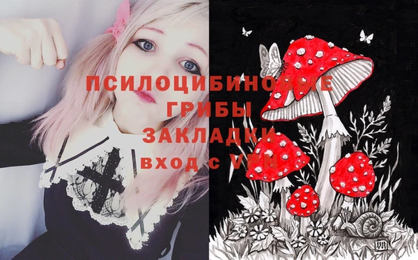 амф Бородино