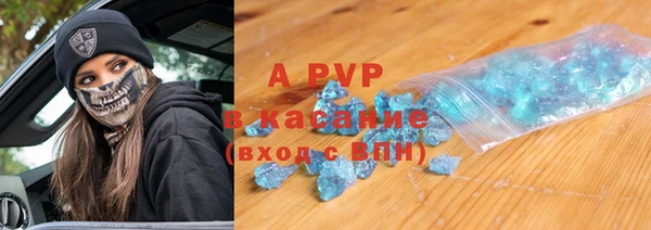 амф Бородино
